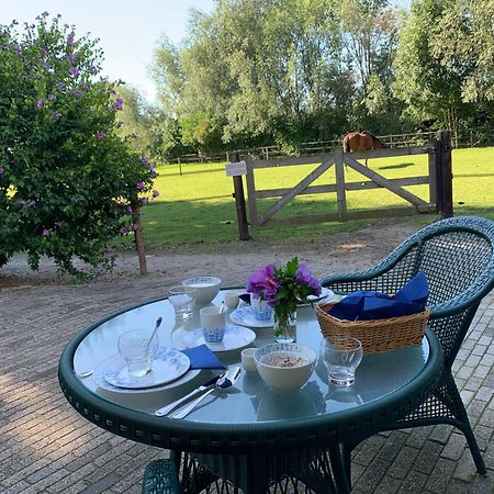 Luxury Guest House - Eik Aan De Dijk Aalst 외부 사진