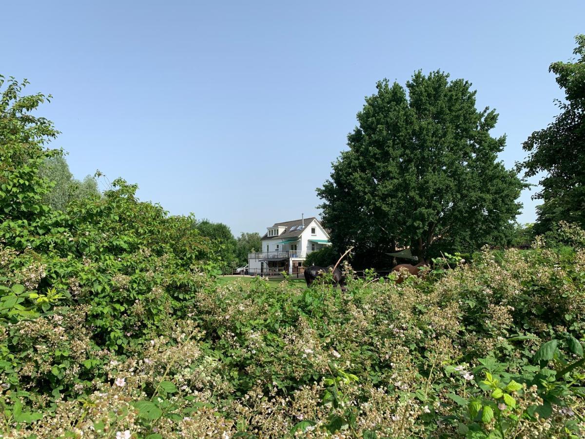 Luxury Guest House - Eik Aan De Dijk Aalst 외부 사진