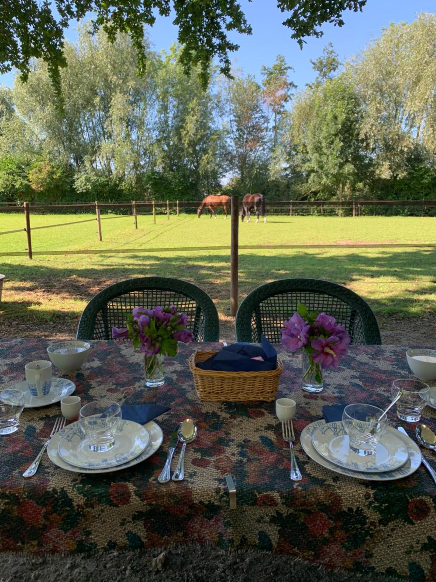 Luxury Guest House - Eik Aan De Dijk Aalst 외부 사진